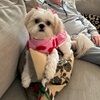 poshmom12345